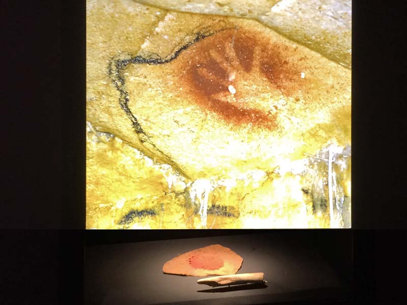  Chauvet Cave Art photo chauvet-grotto-art0010b.jpg