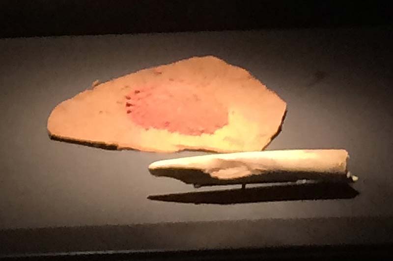  Chauvet Cave Art photo chauvet-grotto-art0011b.jpg