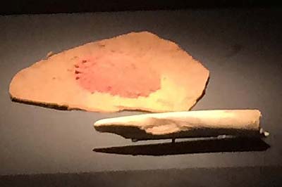 Tools used for the Chauvet cave