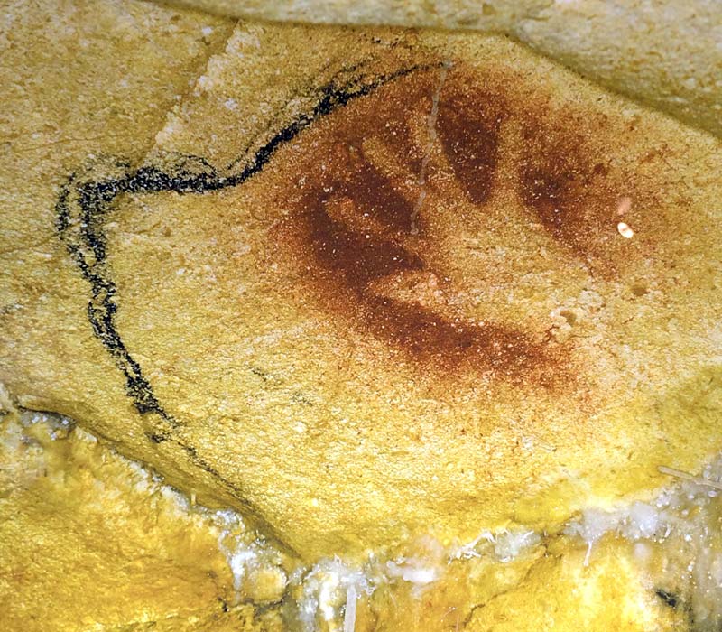  Chauvet Cave Art photo chauvet-grotto-art0012b.jpg