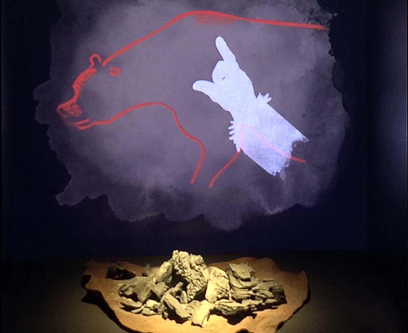  Chauvet Cave Art photo chauvet-grotto-art0015b.jpg