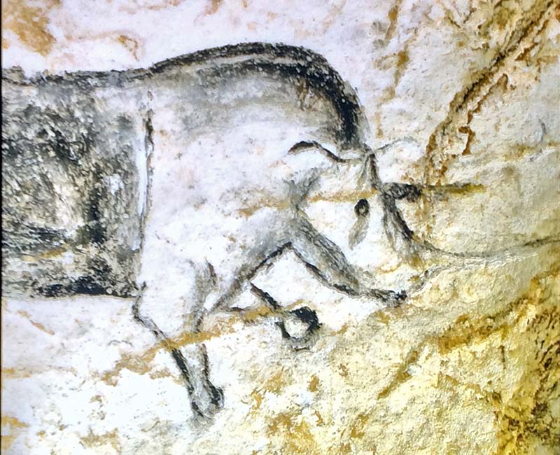  Chauvet Cave Art photo chauvet-grotto-art0018b.jpg