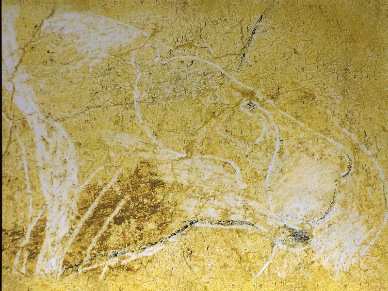  Chauvet Cave Art photo chauvet-grotto-art0029b.jpg