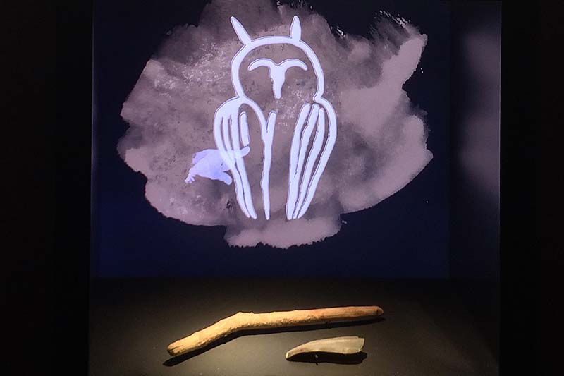  Chauvet Cave Art photo chauvet-grotto-art0033b.jpg