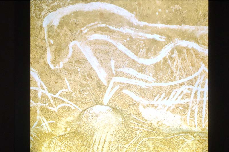  Chauvet Cave Art photo chauvet-grotto-art0035b.jpg