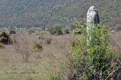  Coulet Menhir photo coulet-menhir0001b250.jpg