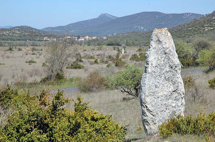  Coulet Menhir photo coulet-menhir0009b.jpg