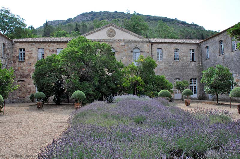  Fontfroid Abbey photo fontfroid-abbey0055b.jpg