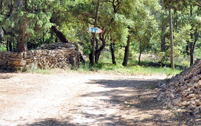 Gastée Dolmen photo gastee-dolmen0005b.jpg