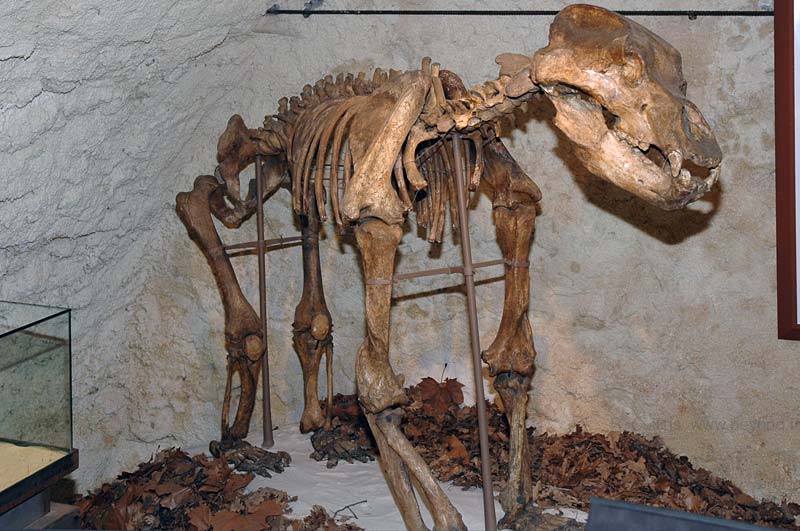  Plains photo geomuseum0022b.jpg