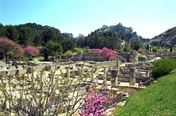  Glanum photo glanum049b250.jpg