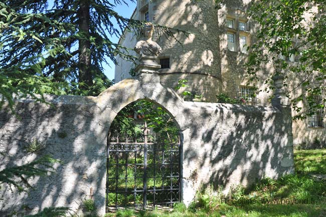  Javon Chateau photo javon-chateau0020b.jpg