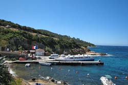  Levant Island photo levant-island01b250.jpg