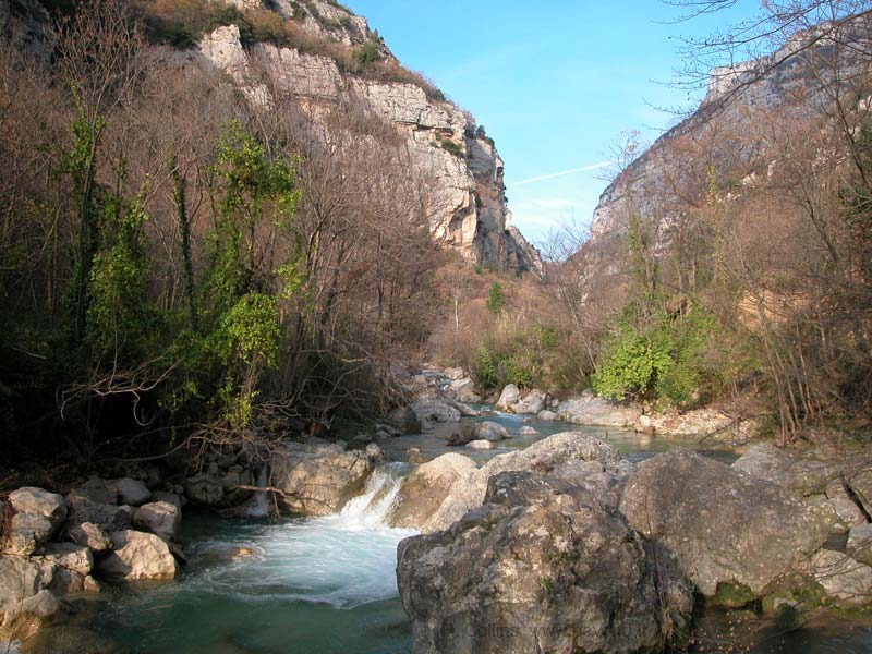  Loup Gorges photo loup-gorges0003b.jpg