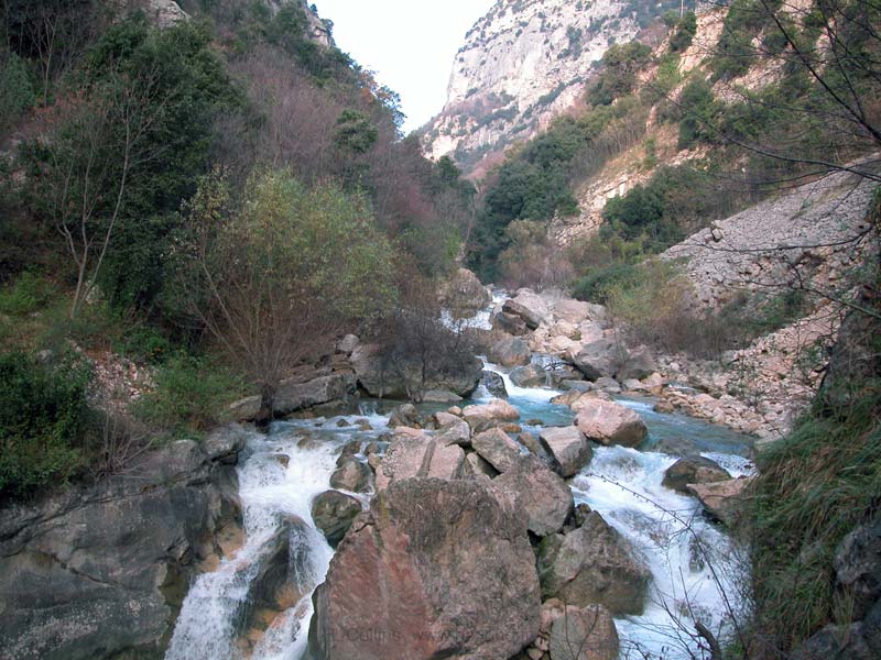  Loup Gorges photo loup-gorges0009b.jpg