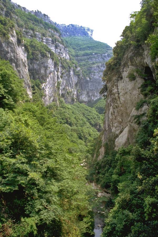  Loup Gorges photo loup-gorges058b.jpg