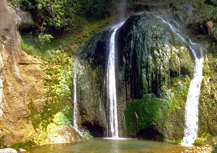  Loup Gorges photo loup-gorges065b.jpg