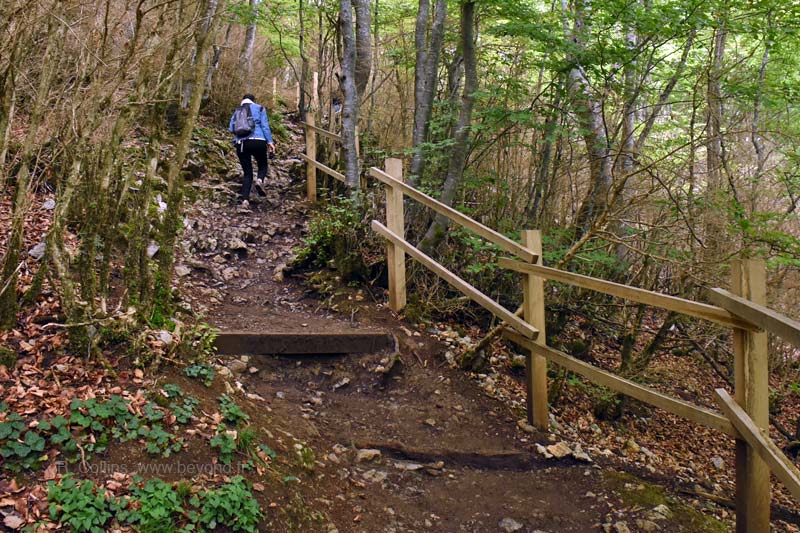  Montségur Castle photo montsegur0016b.jpg