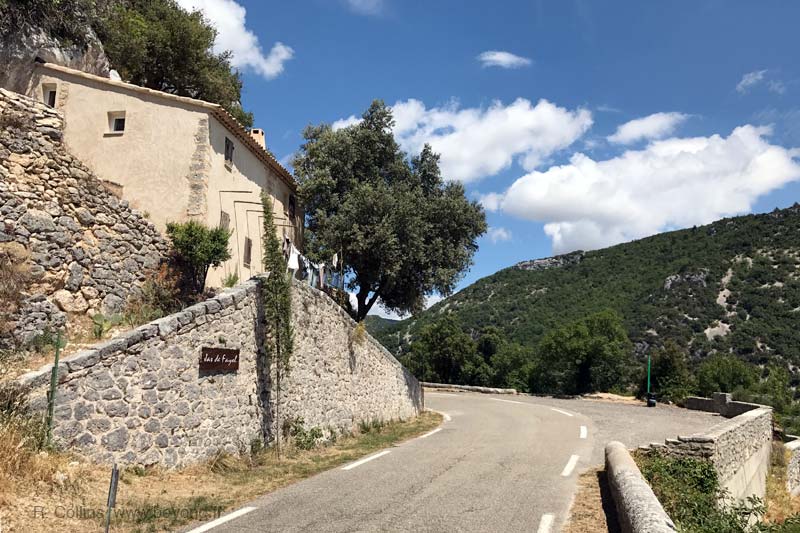  Nesque Gorges photo nesque-gorges0027b.jpg