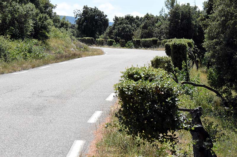  Nesque Gorges photo nesque-gorges0035b.jpg