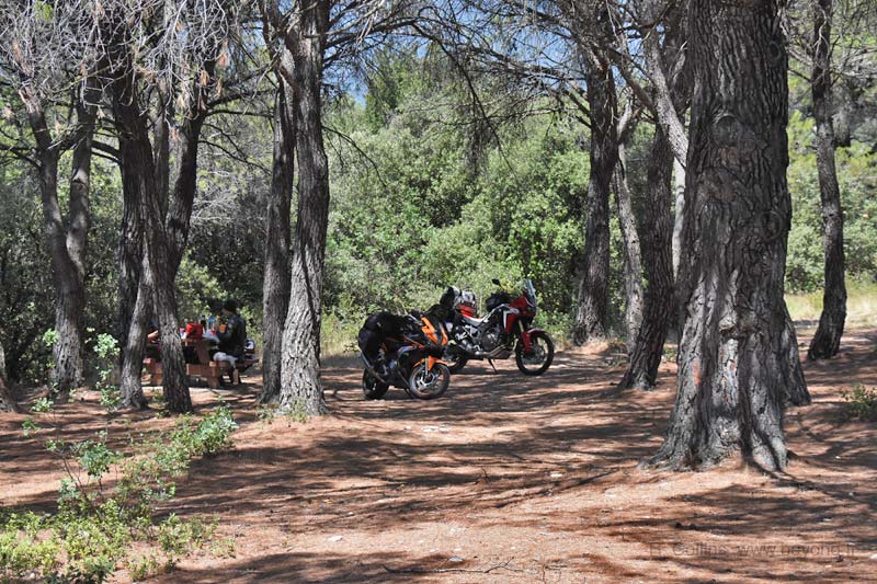  Nesque Gorges photo nesque-gorges0039b.jpg