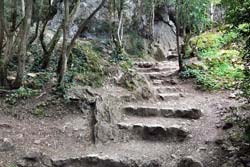 Steps built into the trail up