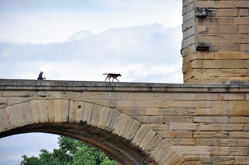  Pont du Gard History photo pont-du-gard0104b.jpg