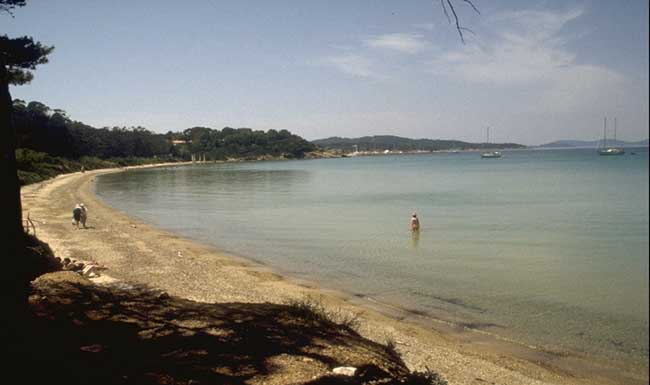  Porquerolles Island photo porquerolles012b.jpg