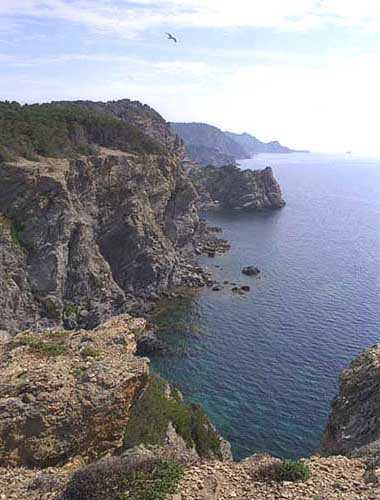  Porquerolles Island photo porquerolles062b.jpg