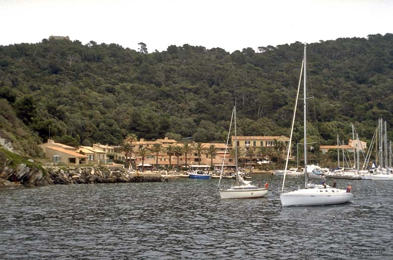 Port-Cros Island photo port-cros008b.jpg