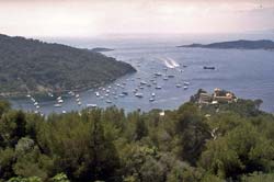  Port-Cros Island photo port-cros053b250.jpg