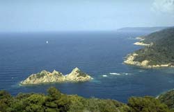  Hyères Islands photo port-cros054b250.jpg