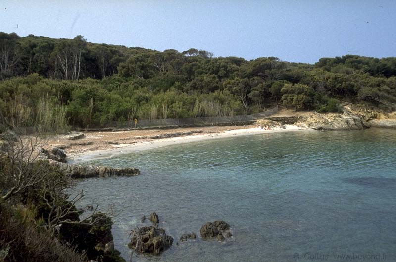  Port-Cros Island photo port-cros063b.jpg