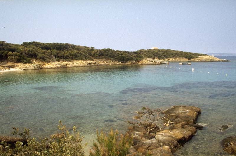  Port-Cros Island photo port-cros064b.jpg