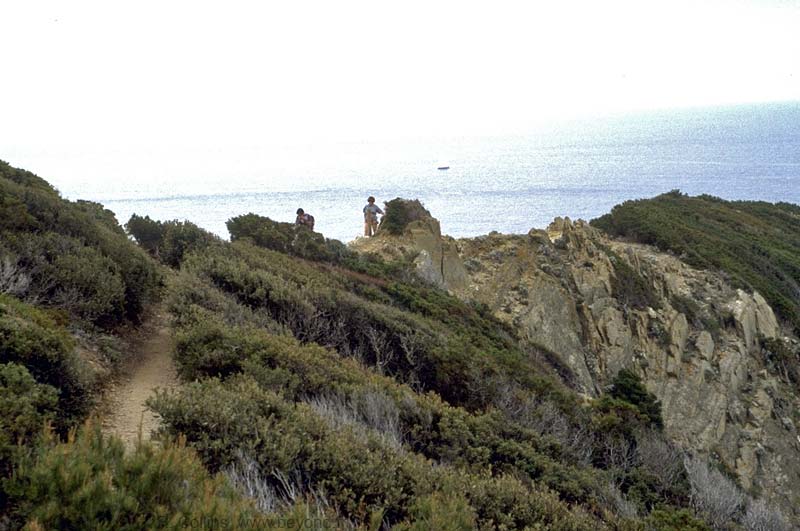  Port-Cros Island photo port-cros067b.jpg