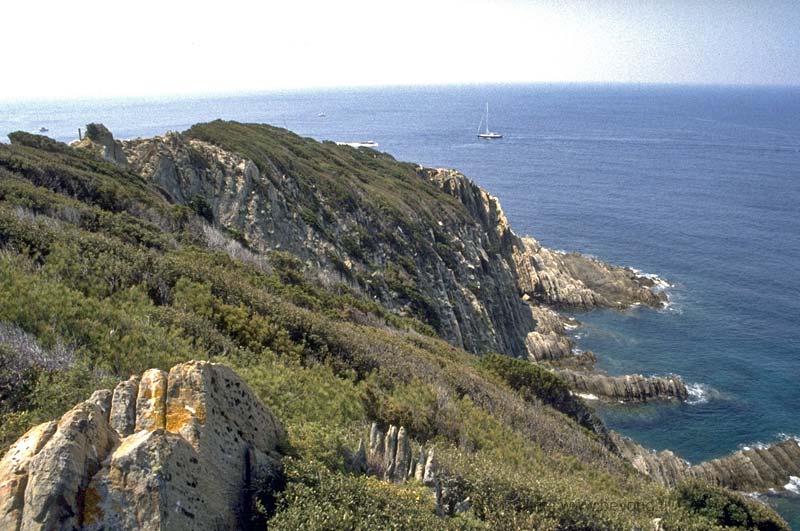  Port-Cros Island photo port-cros070b.jpg