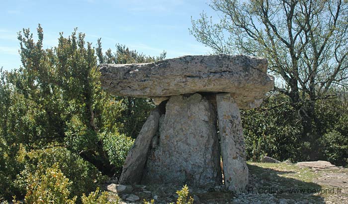 Prunarede Dolmen photo prunarede-dolmen0013b.jpg