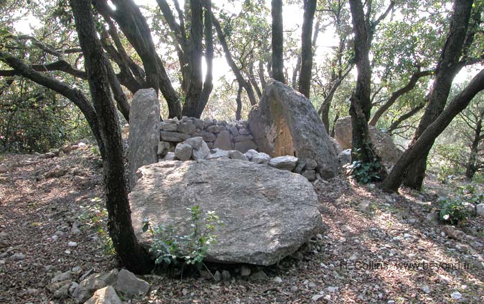  Riens Dolmen photo riens-dolmen0003b.jpg