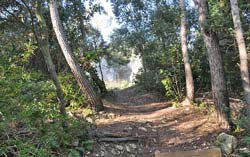 End of the trail up to