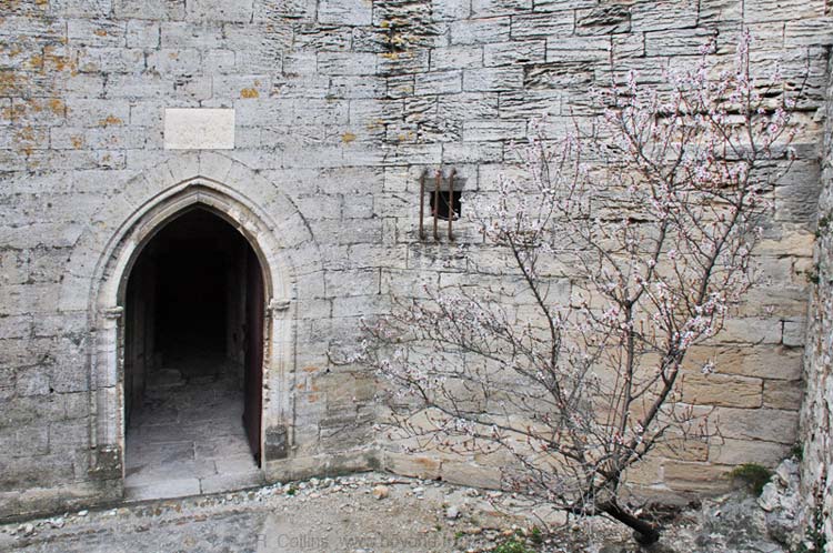  Saint André Fort photo st-andre-fort0091b.jpg