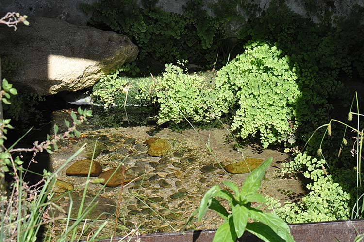  Saint Hilaire-Ozilhan Lavoir photo st-hilaire-ozilhan-lavoir0021b.jpg