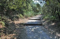 Part of the stepped walkway from