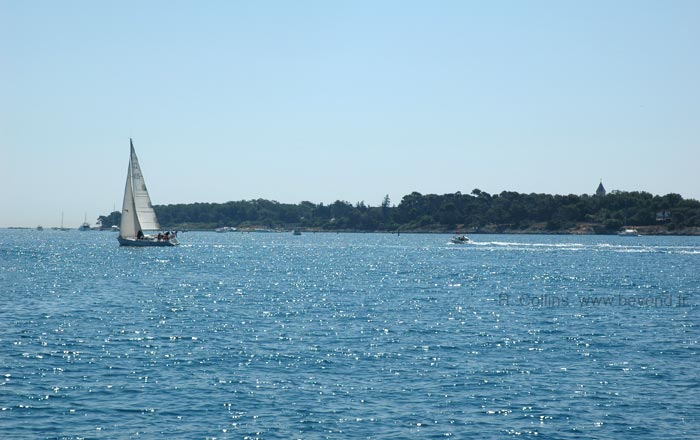  Saint Honorat Island photo sthonorat0002b.jpg