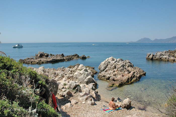  Saint Honorat Island photo sthonorat0018b.jpg