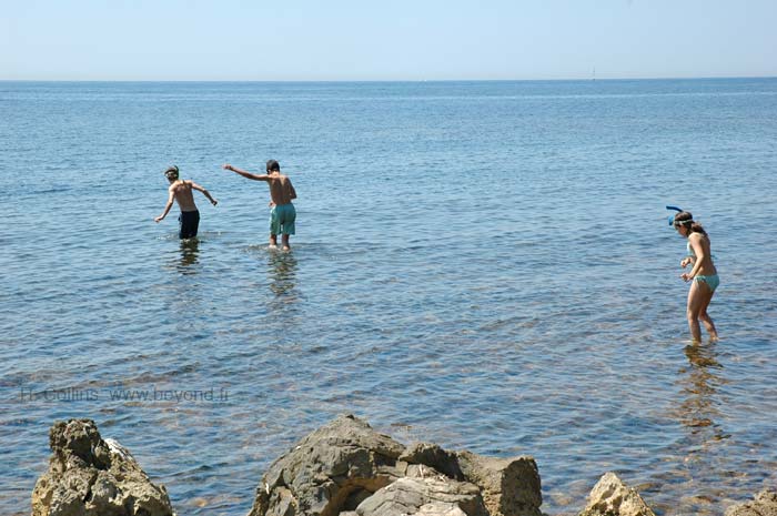  Saint Honorat Island photo sthonorat0027b.jpg