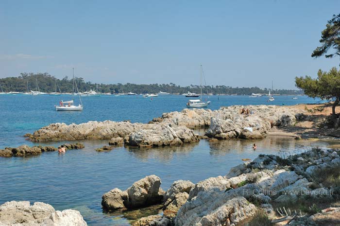  Saint Honorat Island photo sthonorat0066b.jpg