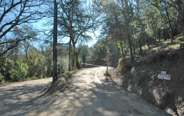  Terriers Menhirs photo terriers0004b.jpg