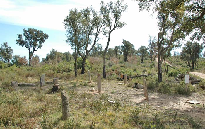  Terriers Menhirs photo terriers0037b.jpg