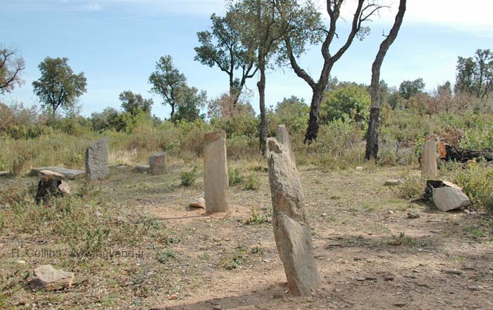  Terriers Menhirs photo terriers0038b.jpg