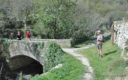 GR51 trail arriving near Gorbio, from